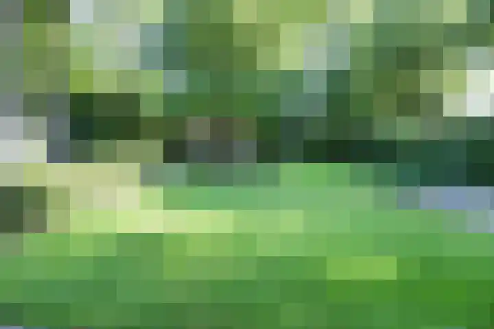 Sparrenlaan 3 Hilversum thumbnail 7