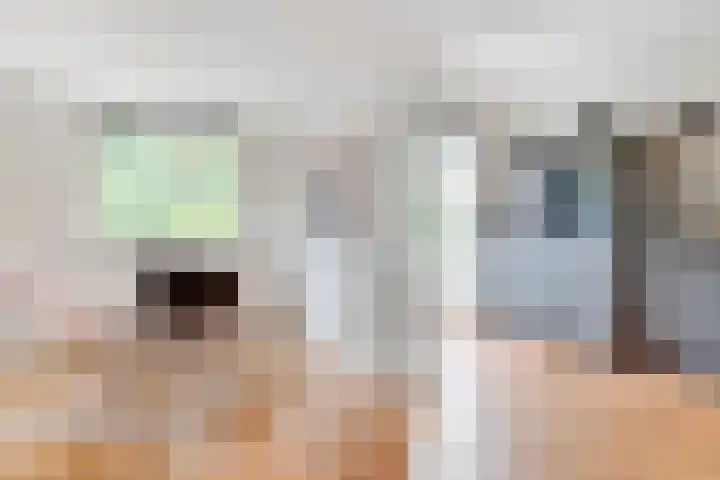 Sparrenlaan 3 Hollandsche Rading thumbnail 14