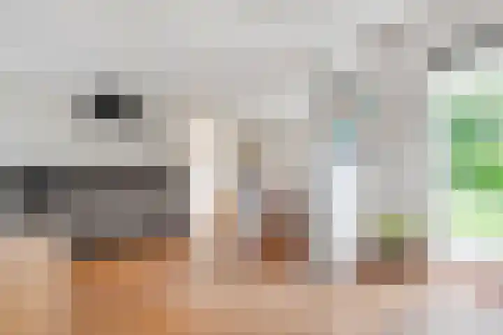 Sparrenlaan 3 Hollandsche Rading thumbnail 19