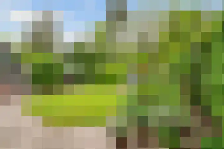 Sparrenlaan 3 Hollandsche Rading thumbnail 24