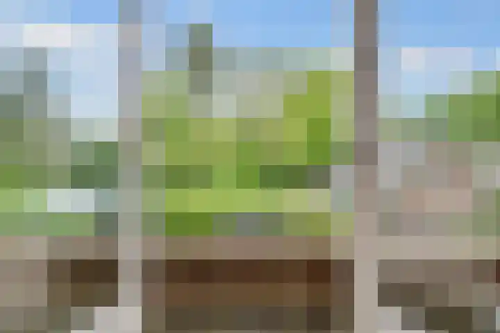 Sparrenlaan 3 Hollandsche Rading thumbnail 36