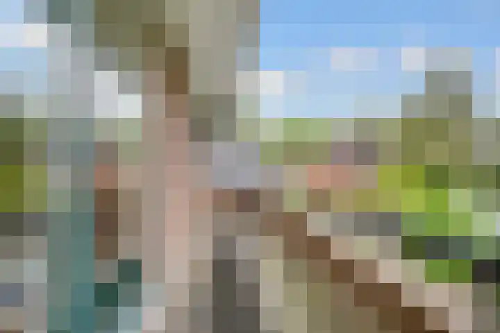 Sparrenlaan 3 Hollandsche Rading thumbnail 37