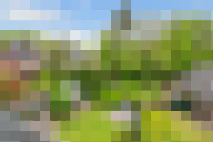 Sparrenlaan 3 Hollandsche Rading thumbnail 43