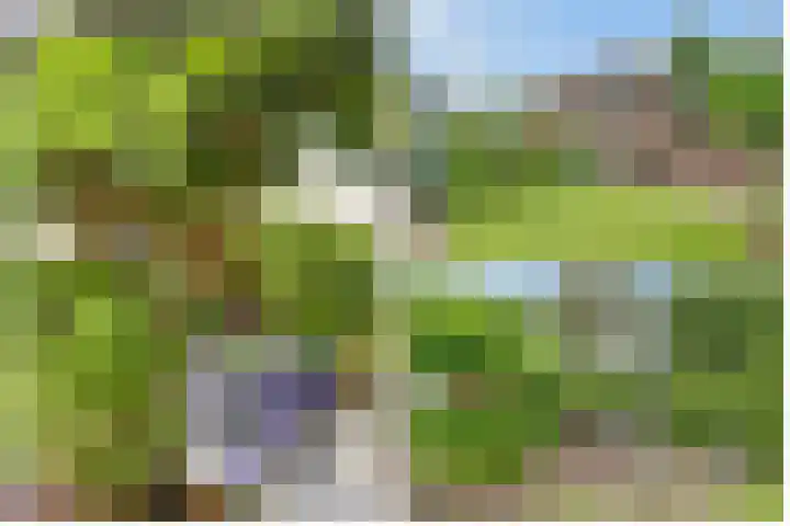Sparrenlaan 3 Hollandsche Rading thumbnail 46