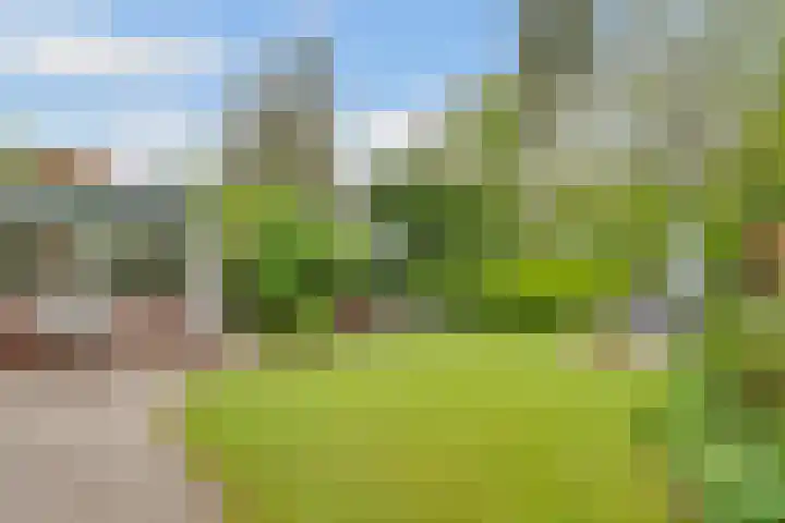 Sparrenlaan 3 Hollandsche Rading thumbnail 47