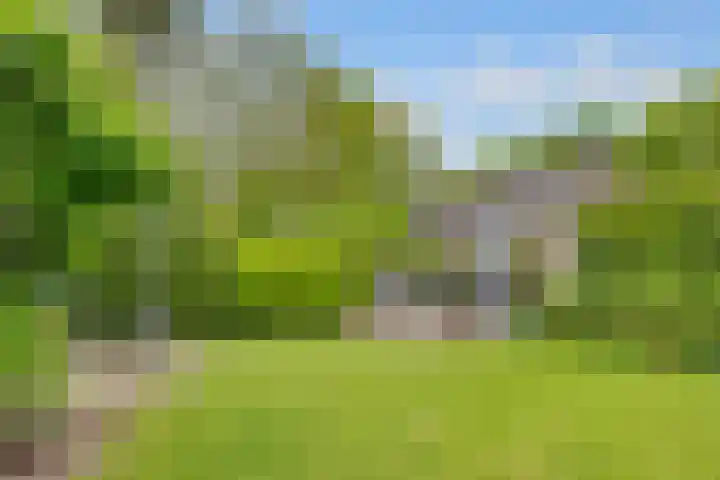 Sparrenlaan 3 Hollandsche Rading thumbnail 48