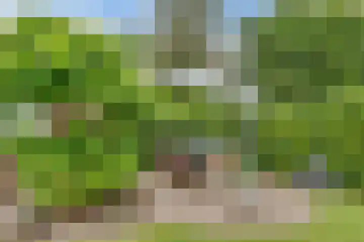 Sparrenlaan 3 Hollandsche Rading thumbnail 51