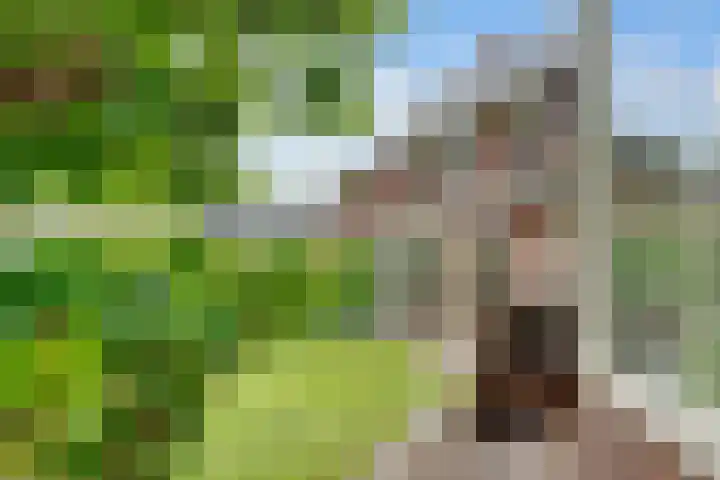 Sparrenlaan 3 Hollandsche Rading thumbnail 52