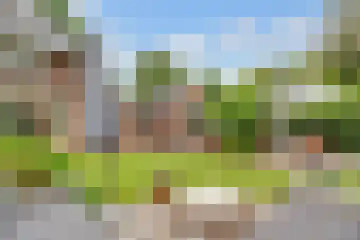 Sparrenlaan 3 Hollandsche Rading thumbnail 53