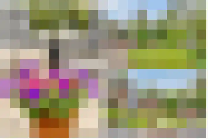 Sparrenlaan 3 Hollandsche Rading thumbnail 54