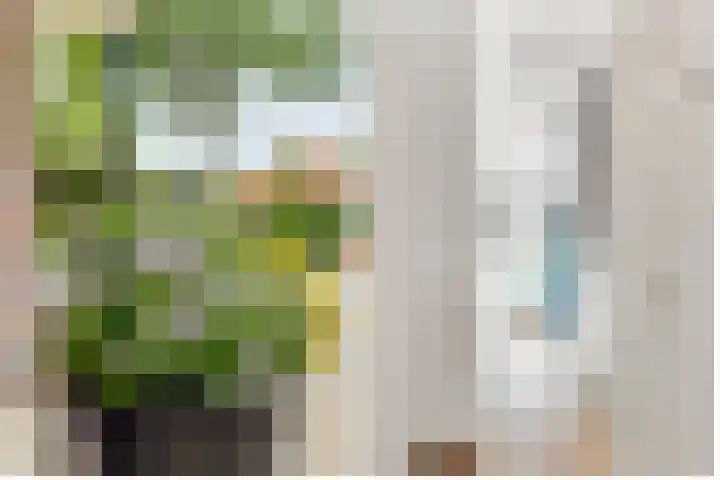 Sparrenlaan 3 Hollandsche Rading thumbnail 6