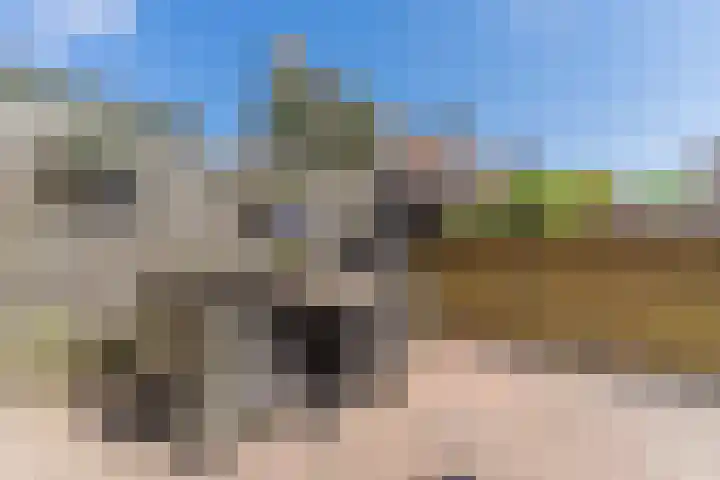 Sparrenlaan 30 B Heerhugowaard thumbnail 26