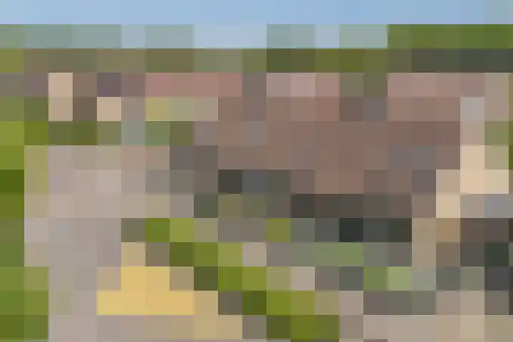 Sparrenlaan 30 B Heerhugowaard thumbnail 38