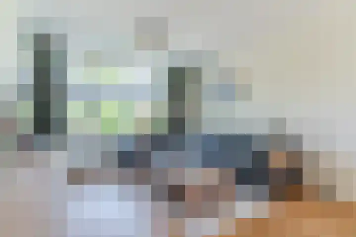 Sparrenlaan 30 B Heerhugowaard thumbnail 5