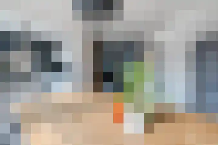 Sparrenlaan 32 Valkenswaard thumbnail 13