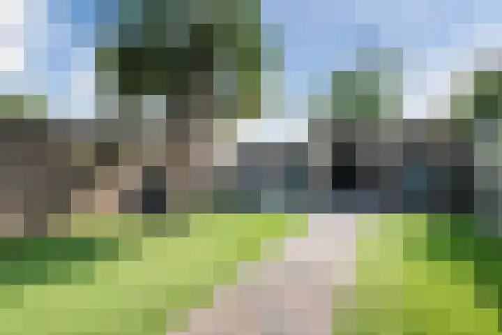 Sparrenlaan 32 Valkenswaard thumbnail 17