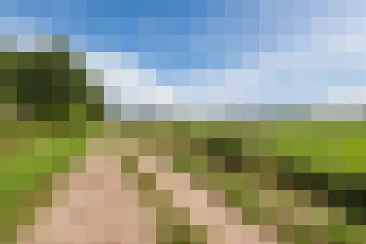 Sparrenlaan 32 Valkenswaard thumbnail 19