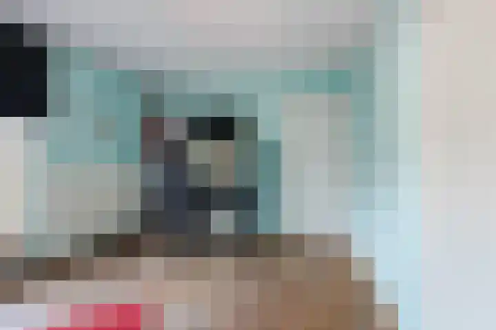 Sparrenlaan 32 Valkenswaard thumbnail 24