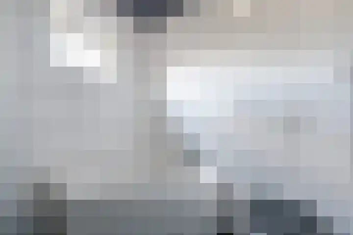 Sparrenlaan 32 Valkenswaard thumbnail 26
