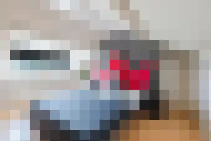 Sparrenlaan 32 Valkenswaard thumbnail 30