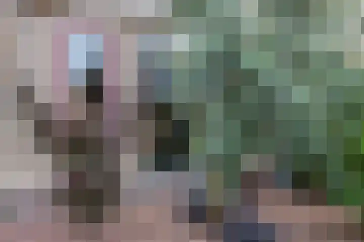Sparrenlaan 32 Valkenswaard thumbnail 33