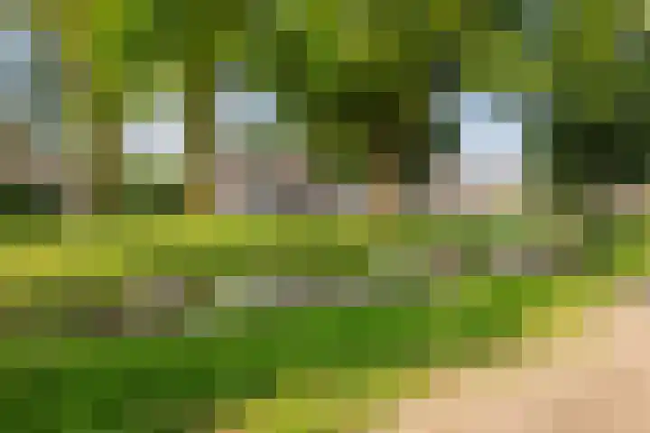 Sparrenlaan 32 Valkenswaard thumbnail 34