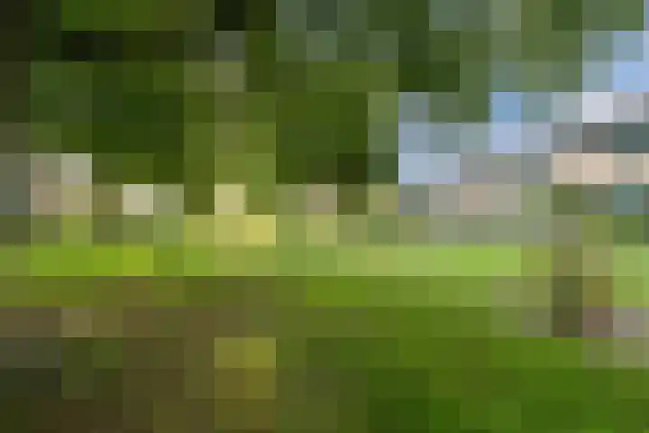 Sparrenlaan 32 Valkenswaard thumbnail 35