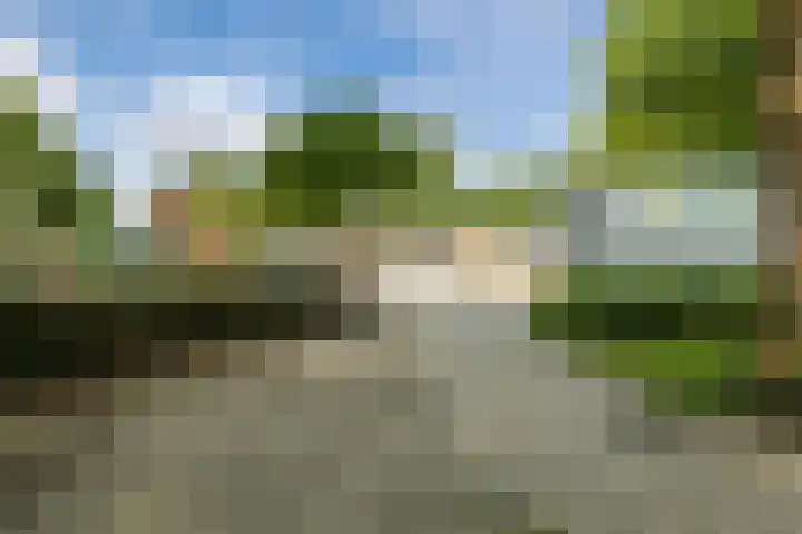 Sparrenlaan 32 Valkenswaard thumbnail 36