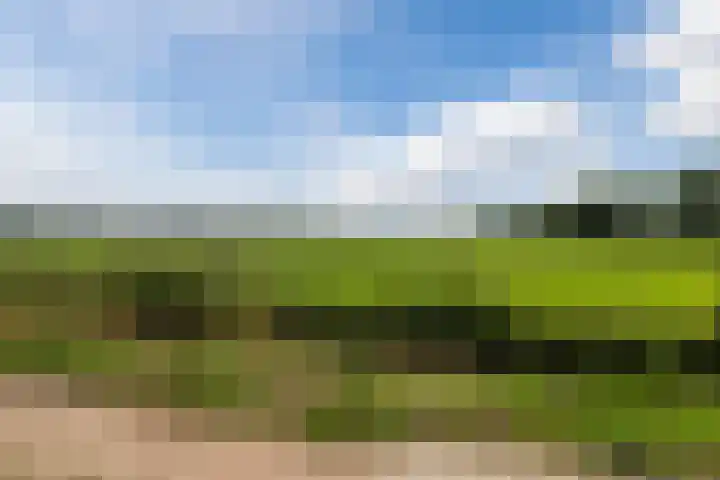 Sparrenlaan 32 Valkenswaard thumbnail 6