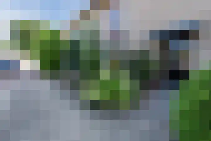 Sparrenlaan 32 Valkenswaard thumbnail 7