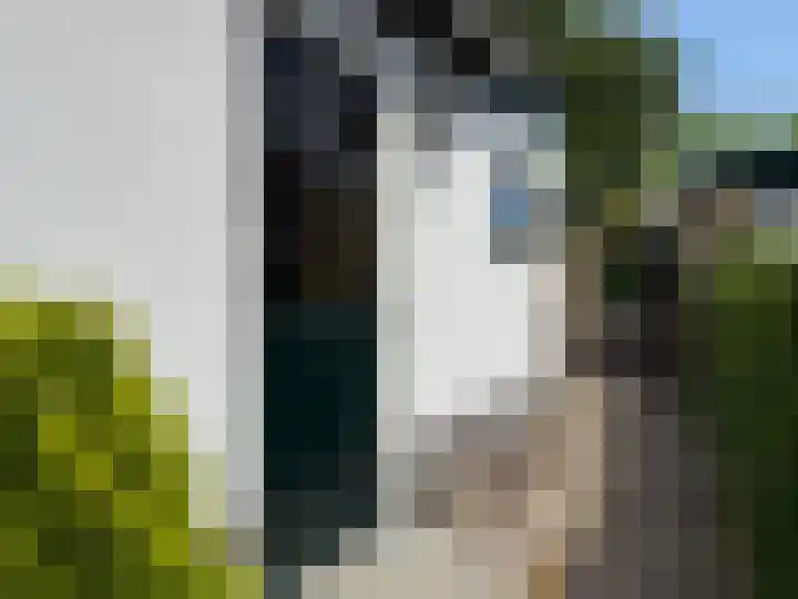 Sparrenlaan 33 Baarn thumbnail 23