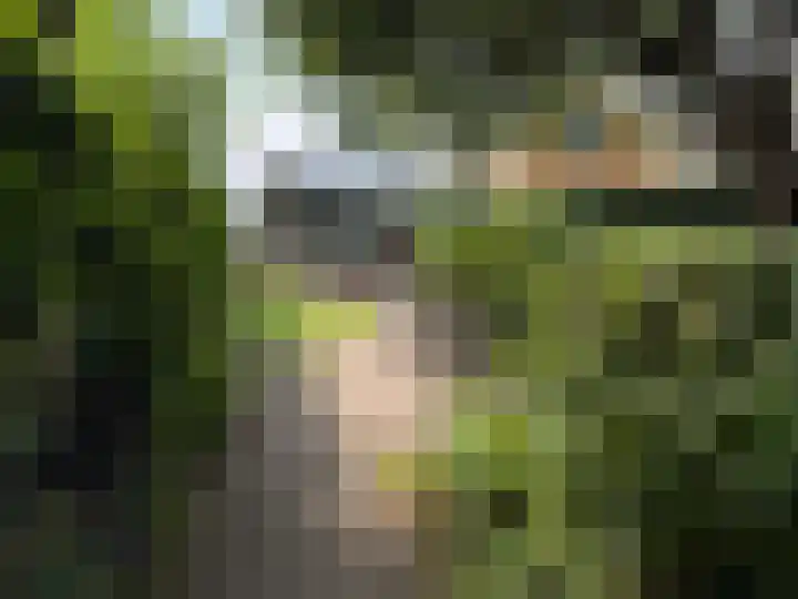 Sparrenlaan 33 Baarn thumbnail 4