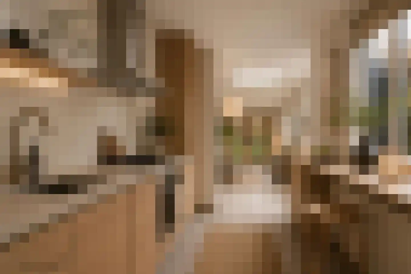 Sparrenlaan 34 Doorn thumbnail 10