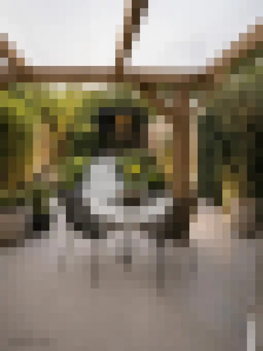 Sparrenlaan 34 Doorn thumbnail 15