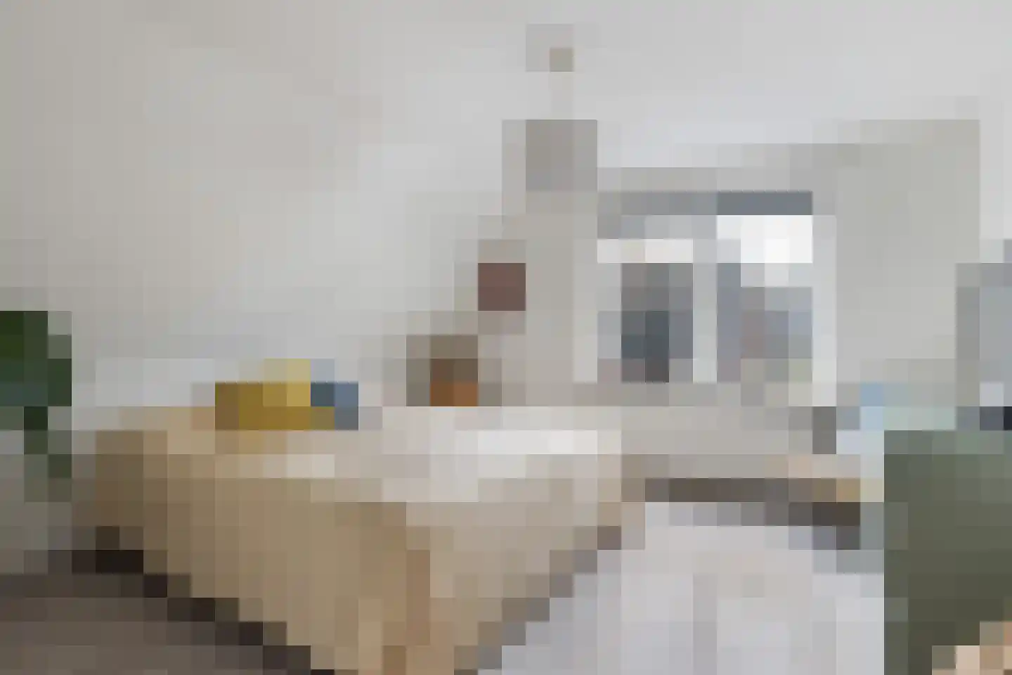 Sparrenlaan 34 Doorn thumbnail 19