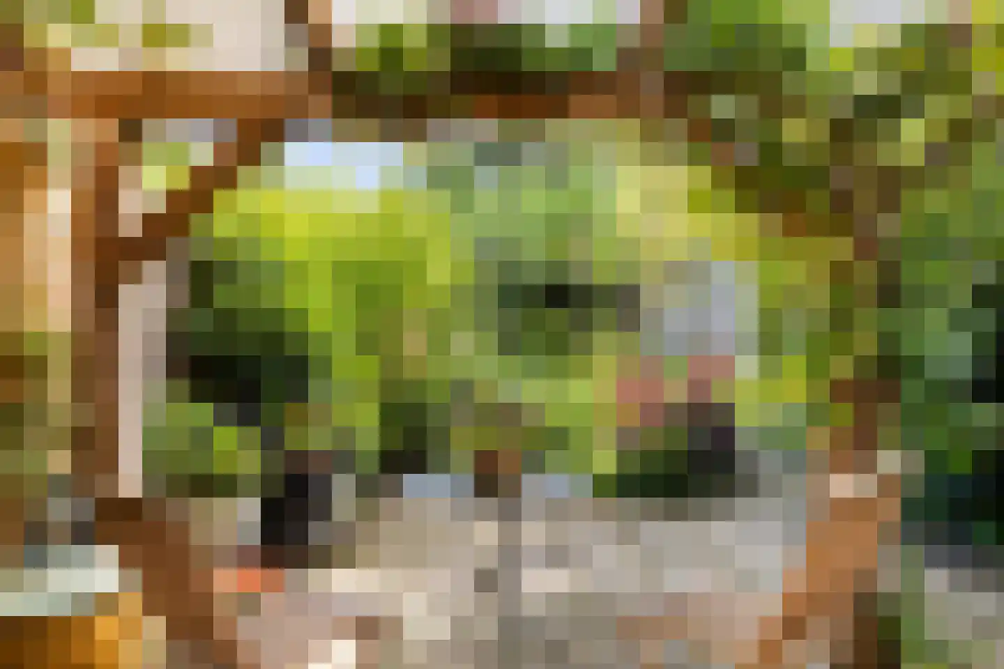 Sparrenlaan 34 Doorn thumbnail 24