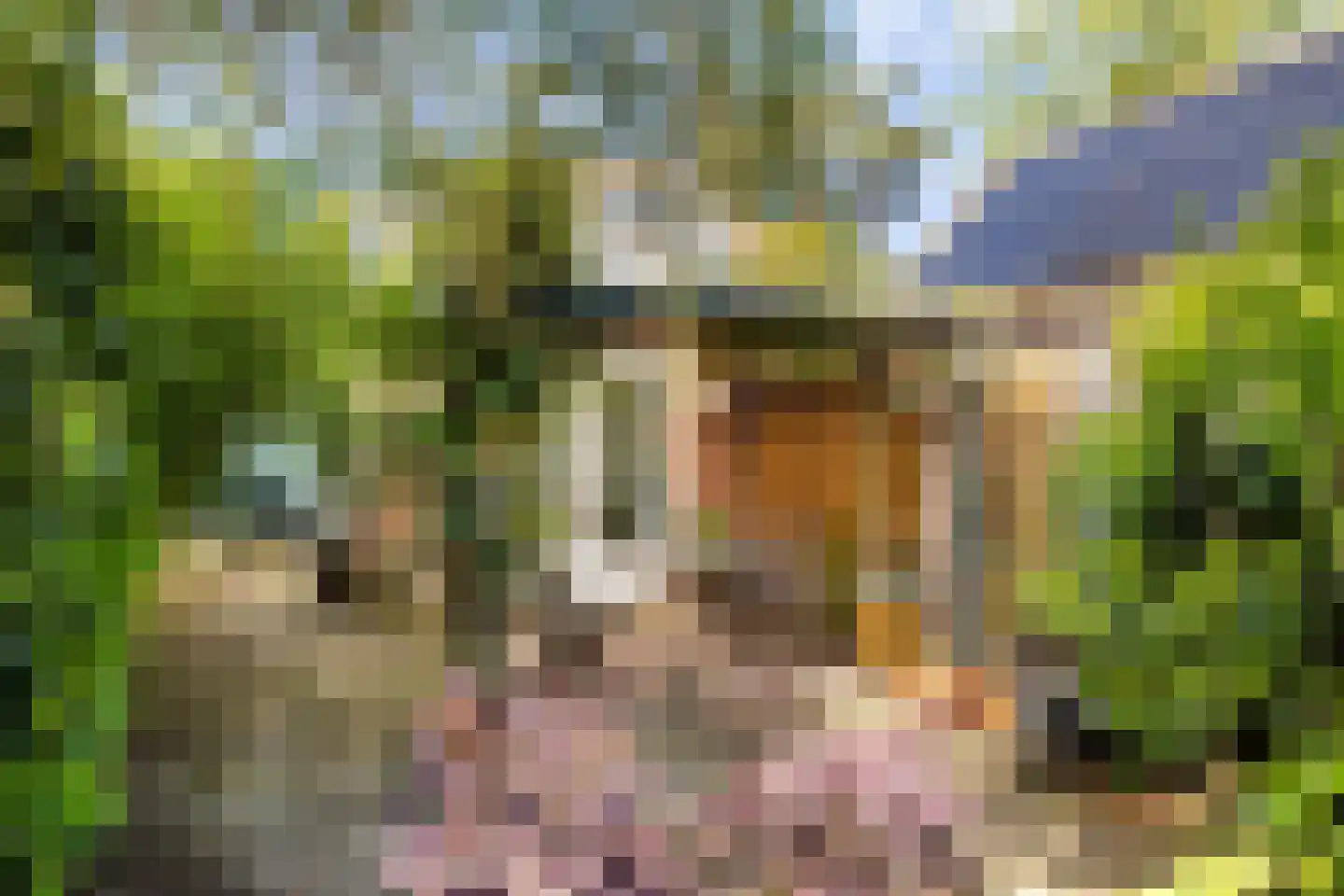 Sparrenlaan 34 Doorn thumbnail 25