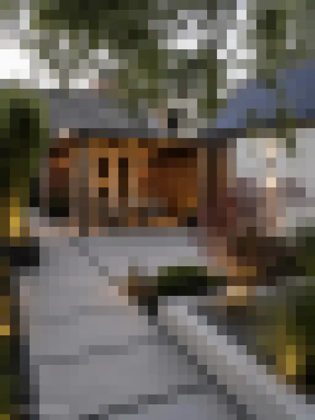 Sparrenlaan 34 Doorn thumbnail 26