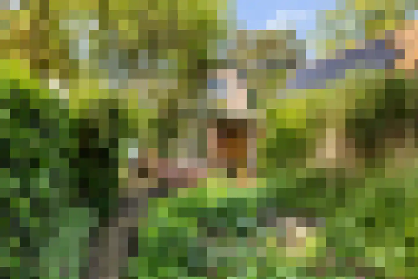 Sparrenlaan 34 Doorn thumbnail 27