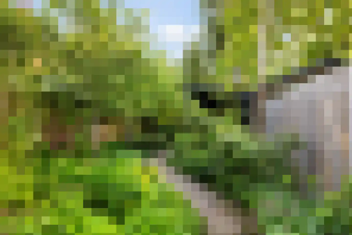 Sparrenlaan 34 Doorn thumbnail 28