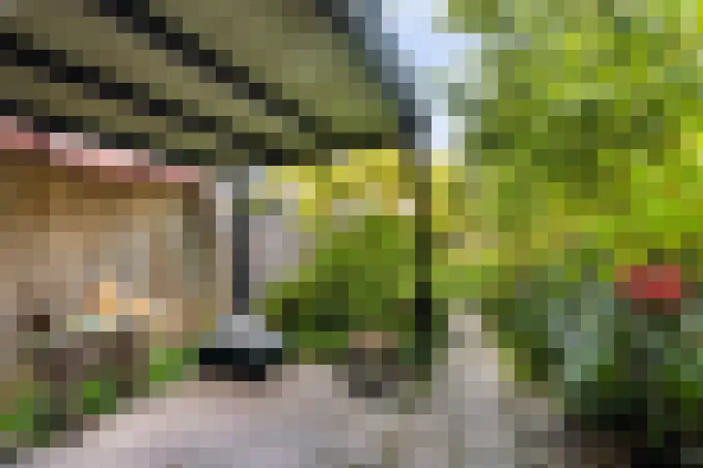 Sparrenlaan 34 Doorn thumbnail 30