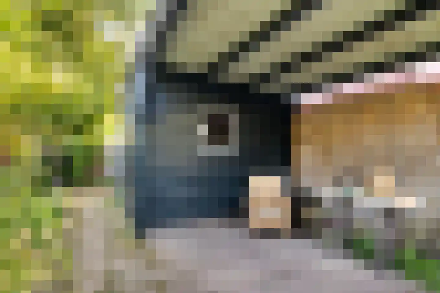 Sparrenlaan 34 Doorn thumbnail 31