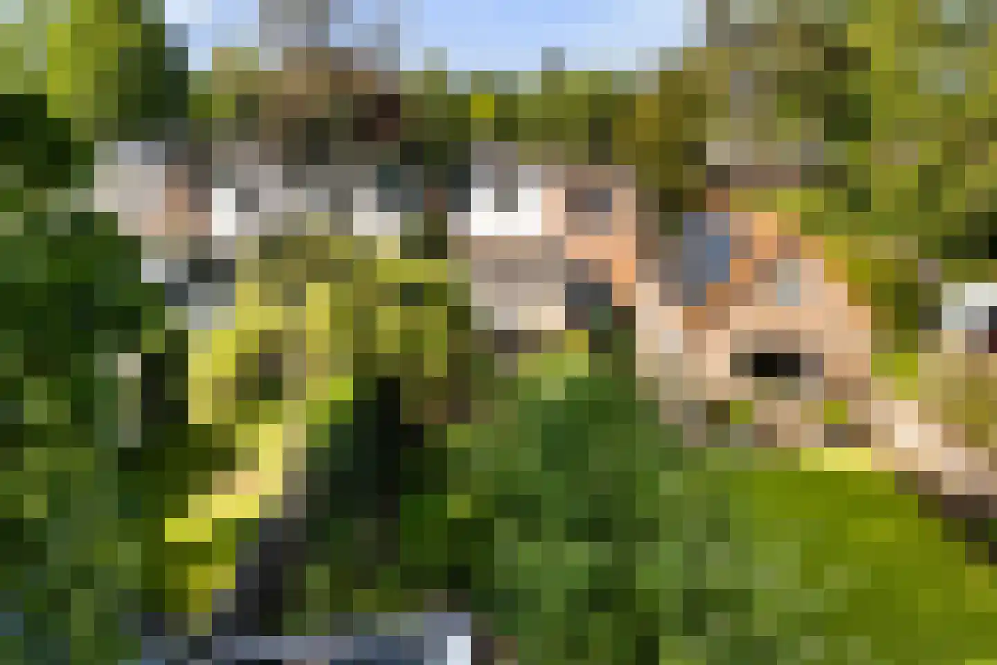 Sparrenlaan 34 Doorn thumbnail 32
