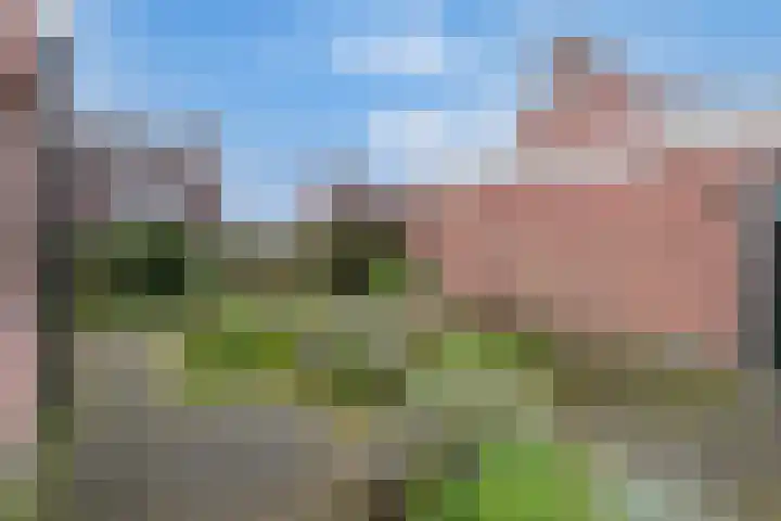 Sparrenlaan 34 Veenendaal thumbnail 31