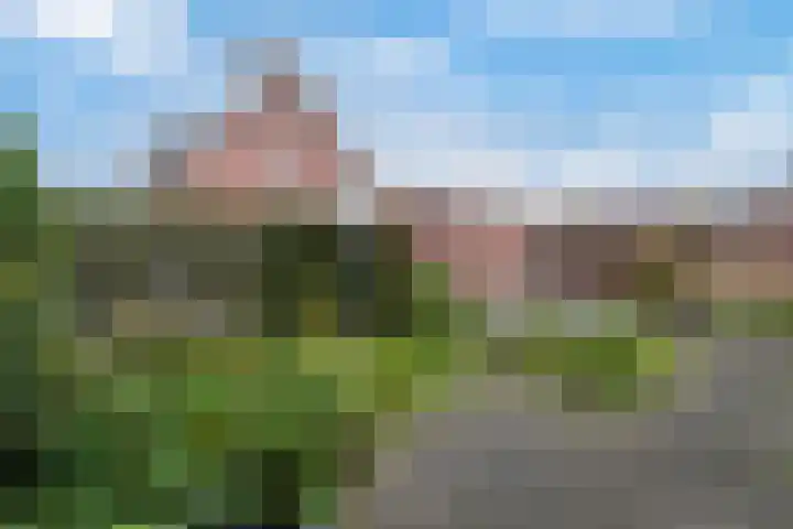 Sparrenlaan 34 Veenendaal thumbnail 32