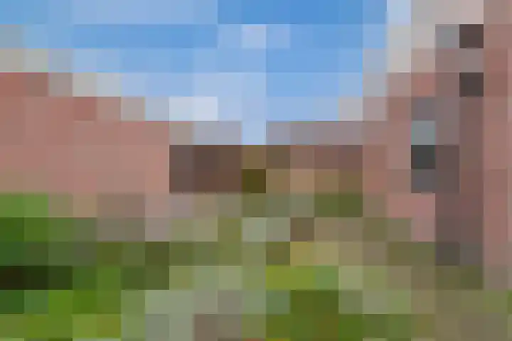 Sparrenlaan 34 Veenendaal thumbnail 33