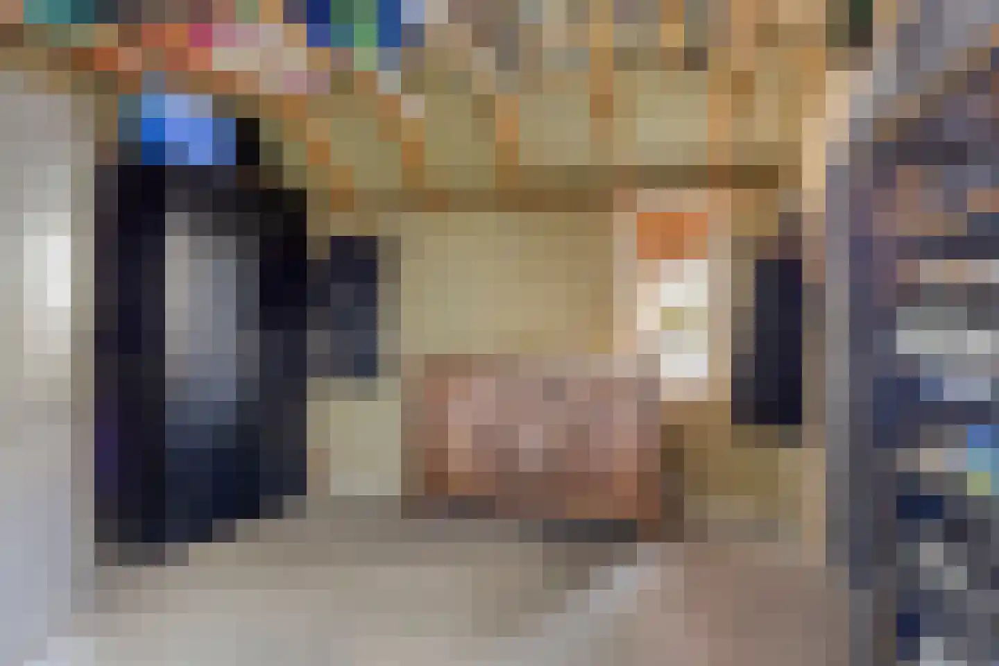 Sparrenlaan 34 Zwolle thumbnail 15