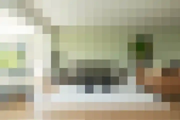Sparrenlaan 36 IJhorst thumbnail 15