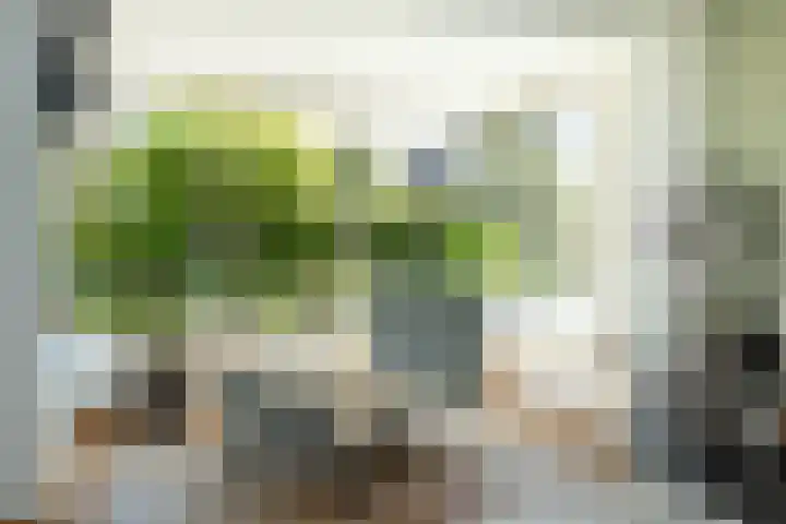Sparrenlaan 36 IJhorst thumbnail 16