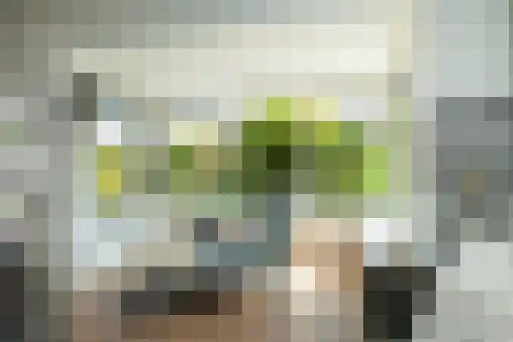 Sparrenlaan 36 IJhorst thumbnail 17